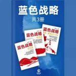 蓝海战略