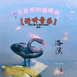 5D|大自然的催眠曲|舒缓|静心|治愈|助眠|瑜伽