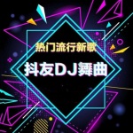 抖音DJ电摇榜单