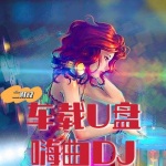 嗨曲DJ- 车载dj - 天籁天-酒醉为了你 (DJ版)
