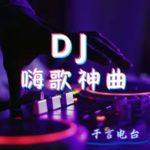 DJ 嗨歌神曲