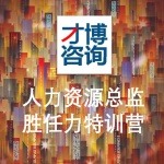 战略管理|HRD胜任力