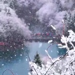 深情读美文
