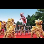 醒狮锣鼓表演