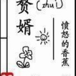 赘婿