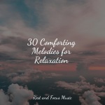 30 Comforting Melodies for Relaxation