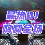 最热DJ 嗨翻全场｜每日更新