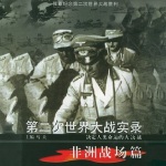 第二次世界大战实录·非洲战场篇