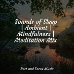 Sounds of Sleep | Ambient | Mindfulness | Meditation Mix