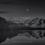 30 Chilled Music for Yoga and Meditation