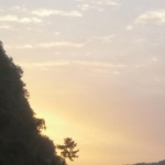 笃思分享｜美文