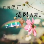 你若盛开  清风自来