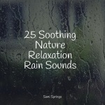 25 Sounds of Rain and Nature Sounds