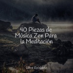40 Piezas de Música Zen Para la Meditación