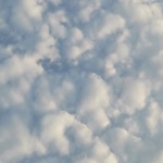 香港经典粤语歌曲