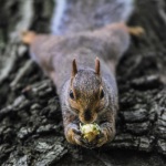 好奇不会害死猫