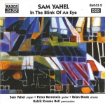 Sam Yahel: In the Blink of an Eye