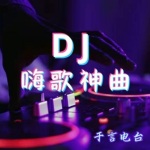 DJ嗨歌神曲