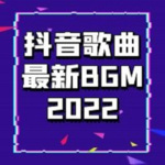 抖音歌曲最新BGM 2022