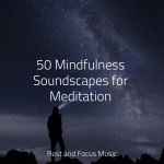 50 Mindfulness Soundscapes for Meditation