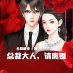 总裁大人，请离婚！