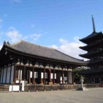 奈良：日本历史文化遗产的宝库