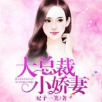 大总裁小娇妻