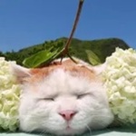 生病了才知道谁最爱你