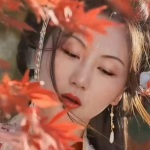 我记录的声音