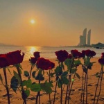 不留遗憾，是上天最好的安排