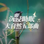 【沉浸助眠】大自然五部曲-花鸟蝉鸣