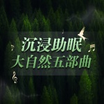 【沉浸助眠】大自然五部曲-雷雨森林