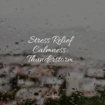 Stress Relief Calmness: Thunderstorm