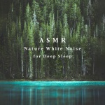 白噪音睡眠 ASMR自然絮语 深眠岛屿
