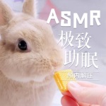 ASMR|极致助眠，颅内解压