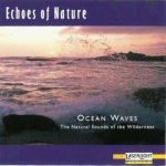 Echoes of Nature: Ocean Waves