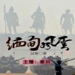 历史军事：缅甸风云