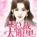 宠妻狂魔：总裁太腹黑