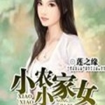 重生之小小农家女