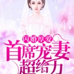 闪婚厚爱：首席宠妻超给力