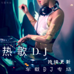 劲爆 DJ  车载必摇串烧