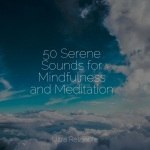 50 Serene Sounds for Mindfulness and Meditation