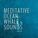Ocean Whale Song