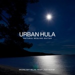Urban Hula ~Moonlight Relax: Night Jazz Guitar~