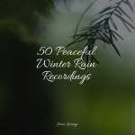 50 Peaceful Winter Rain Recordings