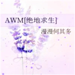 《AWM[绝地求生]》AI录制
