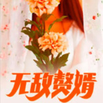 无敌赘婿|女婿