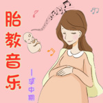 胎教音乐丨孕中期丨新生儿安抚曲