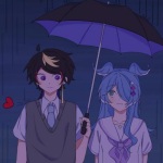 shu&elira (福寿草)