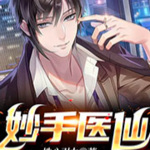 妙手医仙
